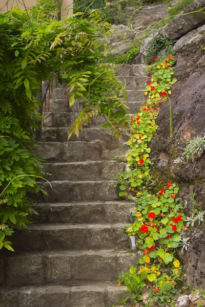 Старая каменная лестница в саду — стоковое фото