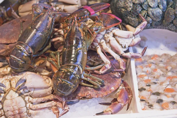 Lobster, crab, clams and shrimp ready for sale — Stock Photo, Image