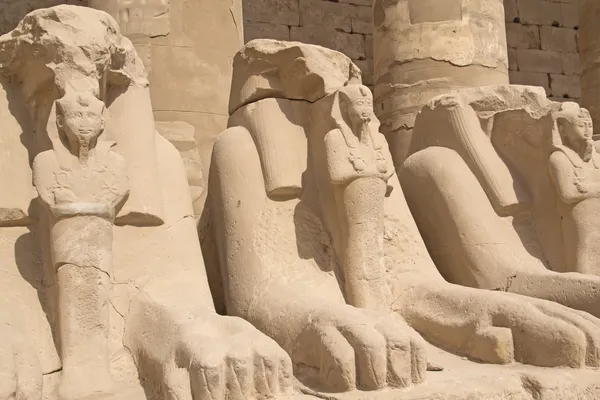 Estatuas de carneros en el templo de Karnak (Luxor, Egipto ). —  Fotos de Stock