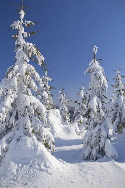 Montaña cubierta de nieve y árboles con cielo azul en el fondo — Foto de Stock