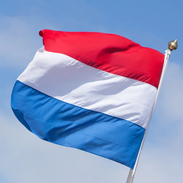 A holland zászló — Stock Fotó
