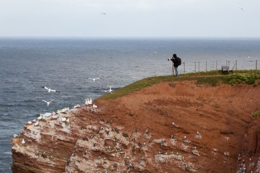 helgoland bir fotoğrafçı