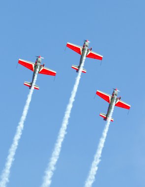 Royal Jordanian Falcons clipart