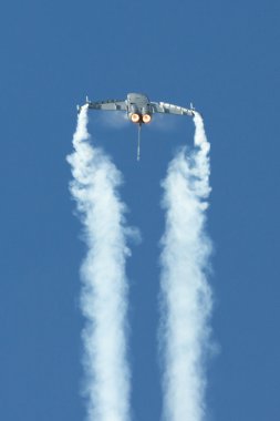 Eurofighter Typhoon