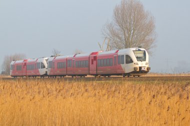 Hollanda'da yolcu treni