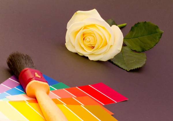 Painting a white rose — Stock Photo, Image