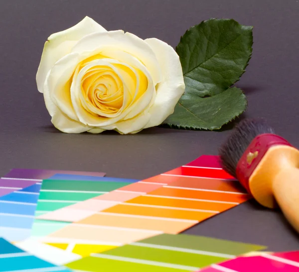 Painting a white rose — Stock Photo, Image