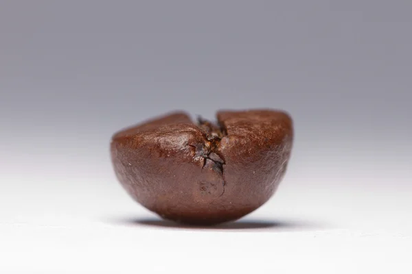 One coffee bean — Stock Photo, Image