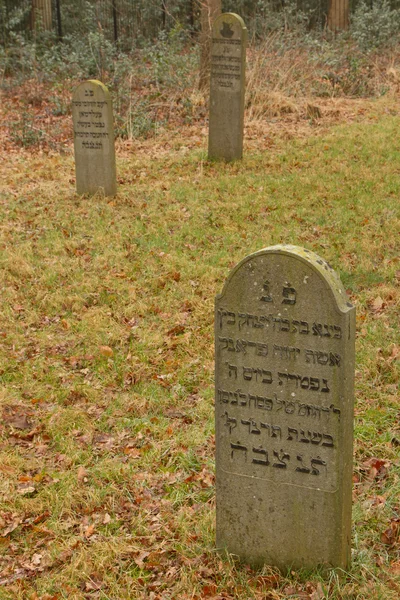 Um velho cemitério judeu — Fotografia de Stock