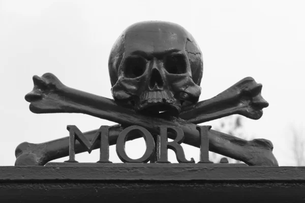 Een schedel op een kerkhof — Stockfoto