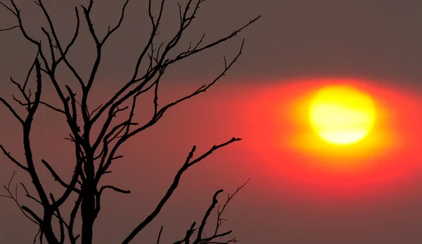 Tajemnicze zachody słońca — Zdjęcie stockowe