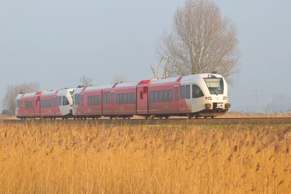 stock image Passenger train in Holland