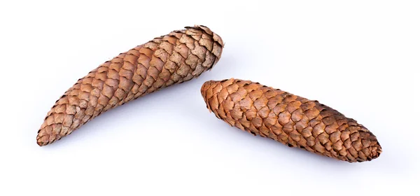 Pine cones isolated on white — Stock Photo, Image