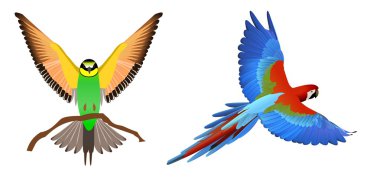 Birdss clipart