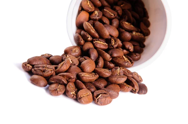 Kávová zrna v šálku — Stock fotografie