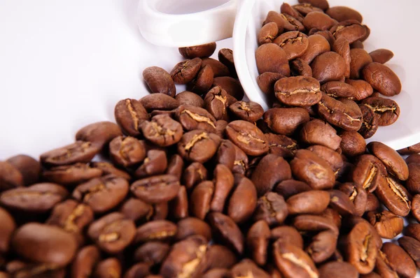 Kávová zrna v šálku — Stock fotografie