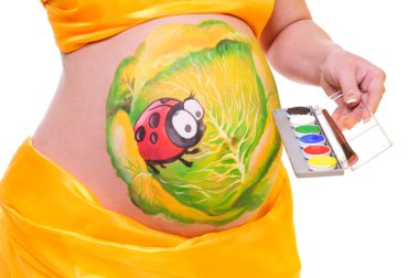 Pregnant woman's belly clipart