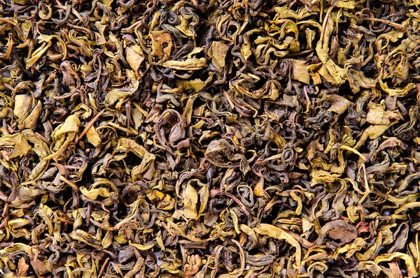 Чайные листья крупным планом — стоковое фото