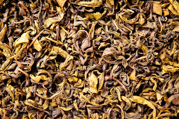 Чайные листья крупным планом — стоковое фото