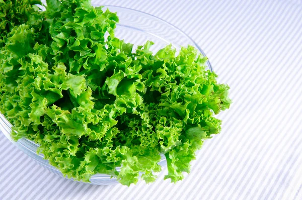 Fresh green Salad leaves — Stock Photo, Image