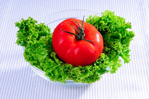 Hojas de ensalada y tomate — Foto de Stock