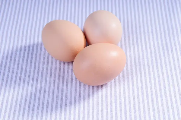 stock image Three chicken eggs