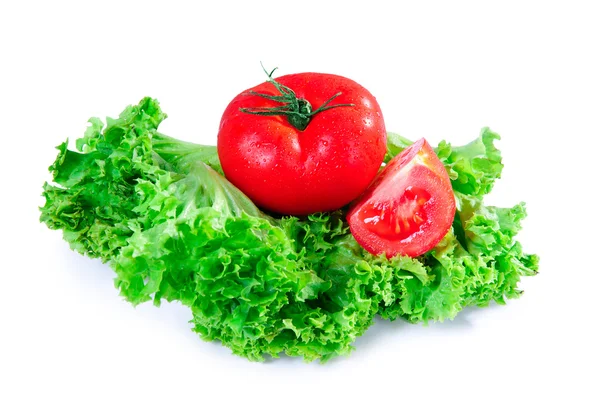 Salade bladeren en tomaat — Stockfoto