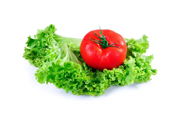 Salladsblad och tomat — Stockfoto