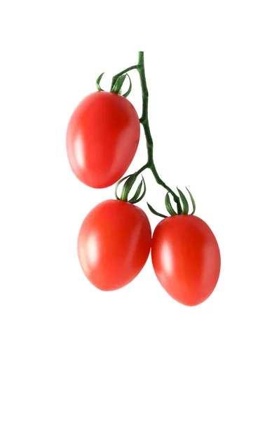 Черри-помидор Стоковое Фото