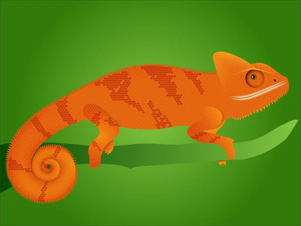 Bukalemun yeşil zemin üzerine