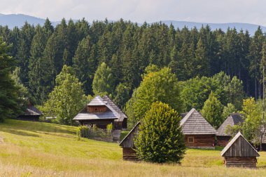 Traditional slovak village clipart