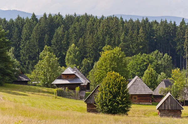 stock image Traditional slovak village