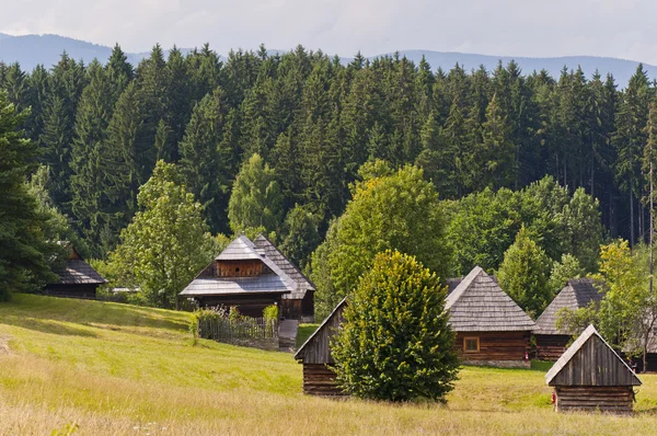 Традиционное словацкое село — стоковое фото