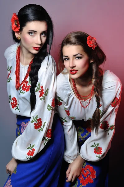 好年轻的乌克兰女孩室画像 图库图片