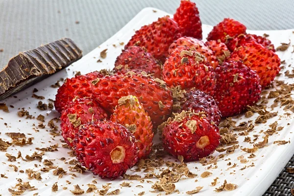 Wild strawberries and grated chocolate Stock Image
