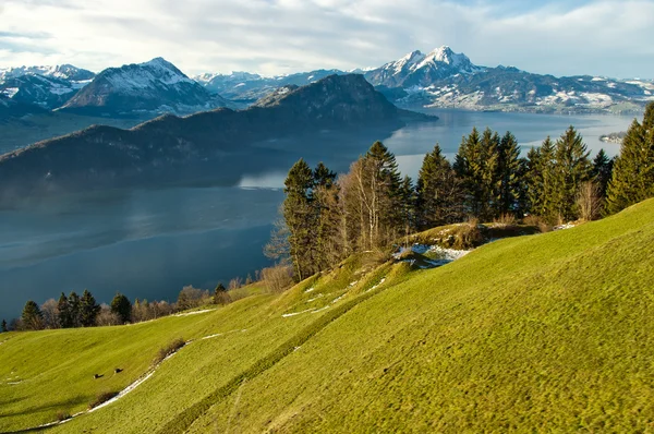 Lago di Lucerna dal Monte Rigi Immagini Stock Royalty Free