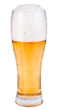 Beer clipart