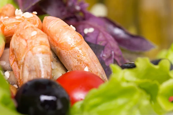 stock image Salad with shrimps