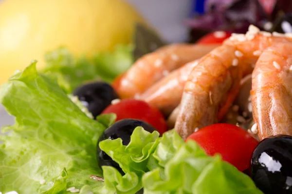 stock image Salad with shrimps