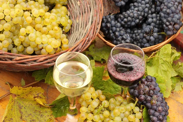 葡萄酒和葡萄 — 图库照片