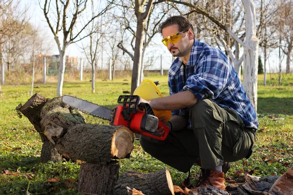 電気ノコギリで木を切る男 — ストック写真