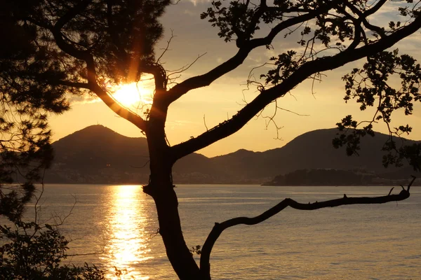 Stock image Sunset at Sea