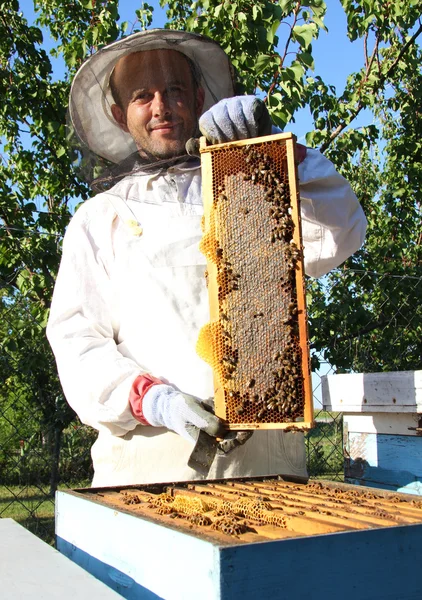 养蜂人在行动 — 图库照片