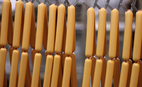 stock image Hot Dogs