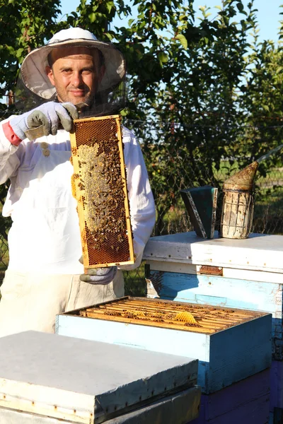 Beekeeper in action — Stock Photo, Image