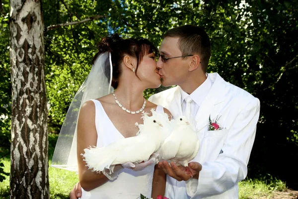 Groom and bride kiss — Stock Photo, Image