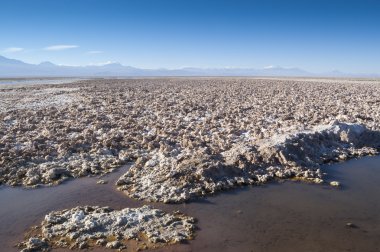 Salar de Atacama