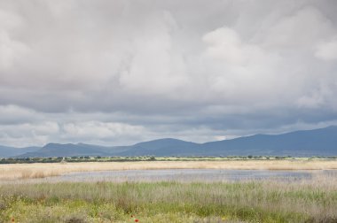 Tablas de daimiel Milli Parkı, İspanya