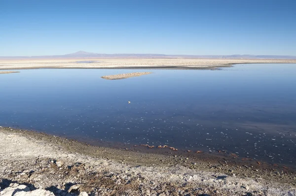 Salar de Atacama — Stok fotoğraf