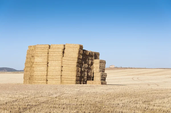 Bale of hay — Stock Photo, Image